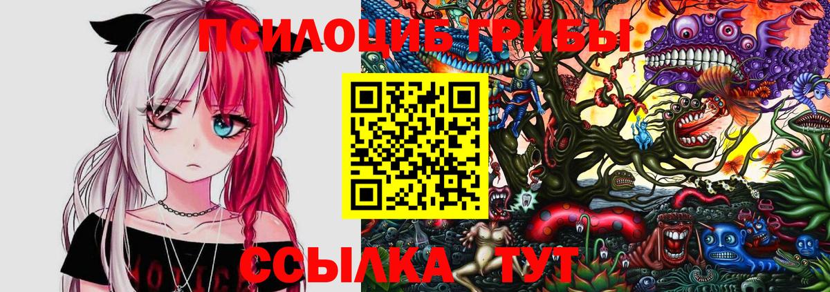 Галлюциногенные грибы Cubensis  Вход с VPN  Лыткарино 