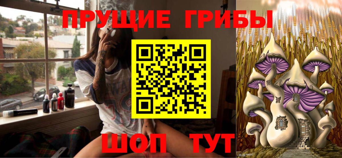 Псилоцибиновые грибы Psilocybe Лыткарино